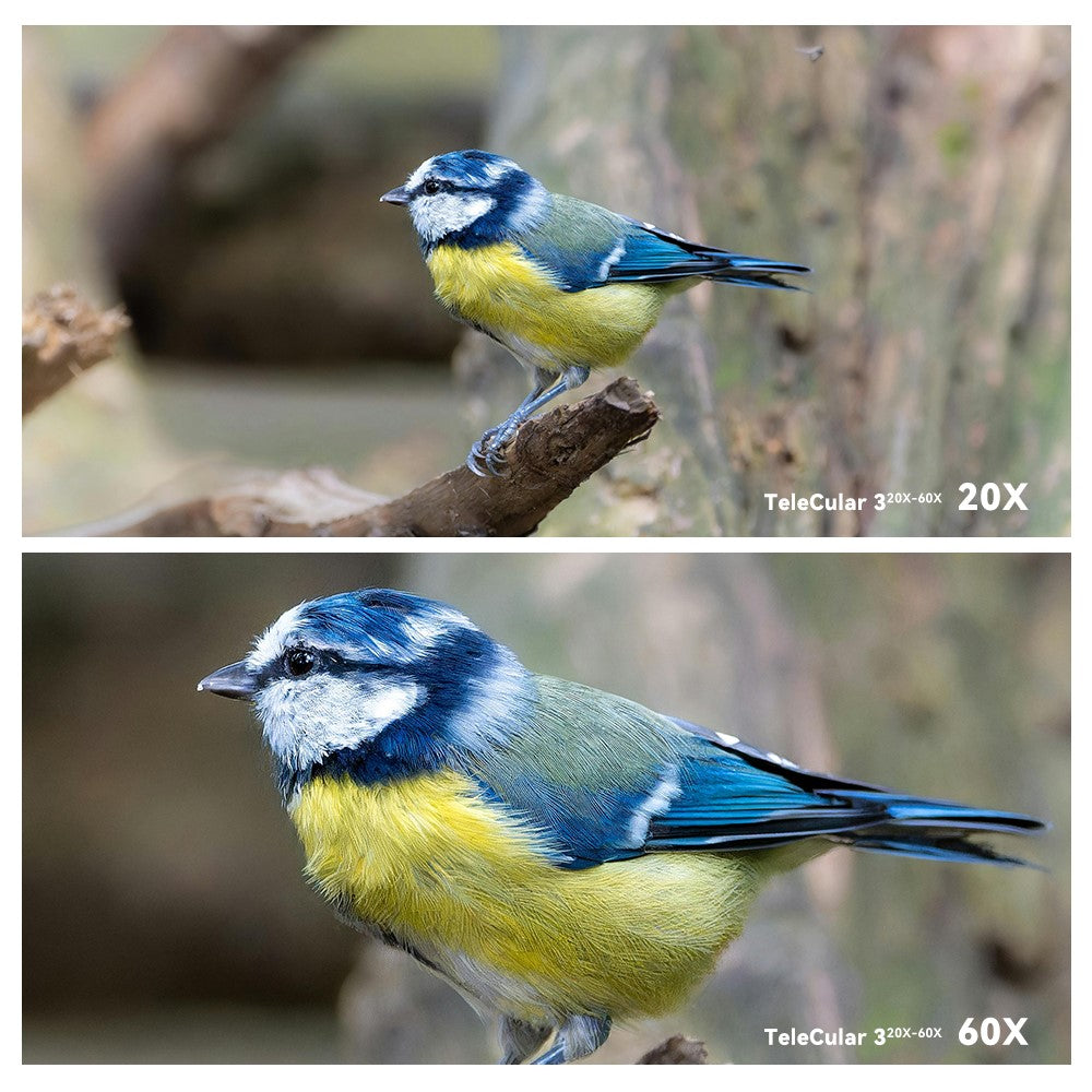APEXEL APL-T20-60X Monokular-Teleskop – 20-60X Zoom, HD Tragbares Teleskop, für Konzerte / Vogelbeobachtung