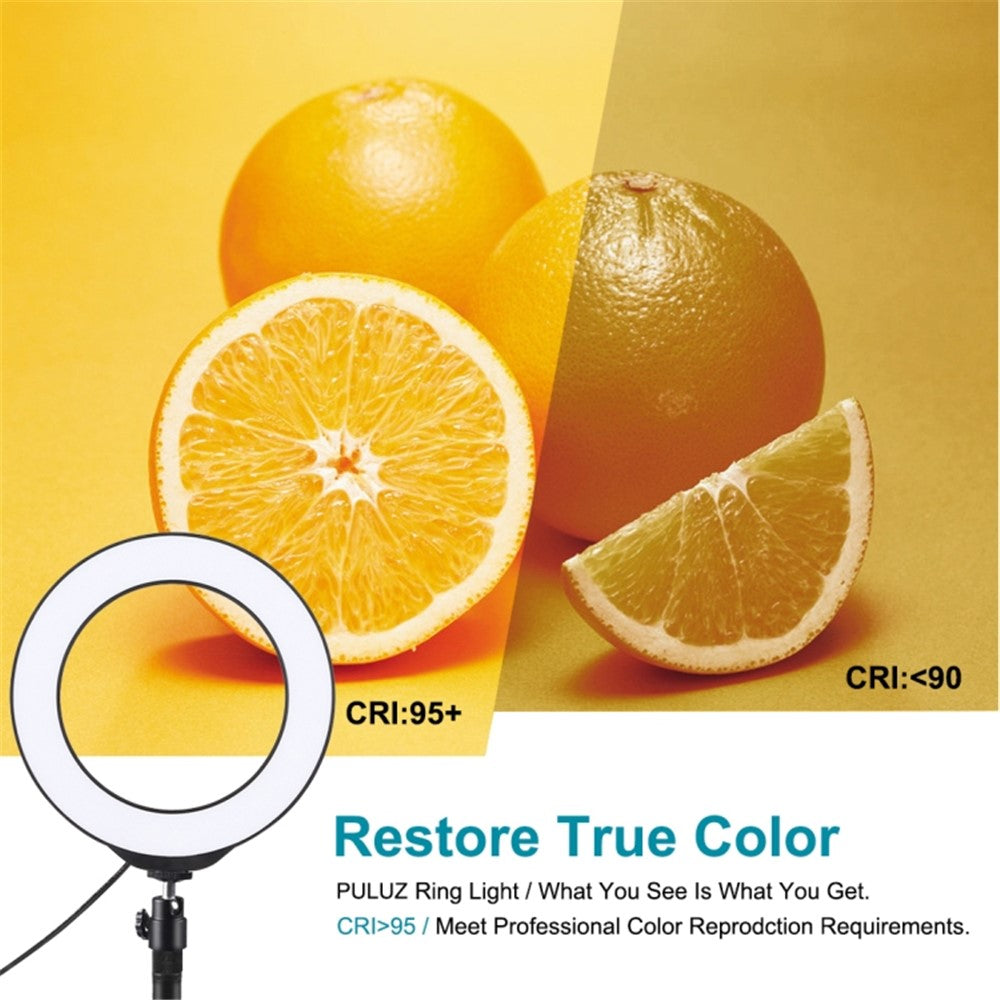PULUZ LED-Ringleuchte mit Stativhalterung – 6,2-Zoll, mit 3 Modi, dimmbar, für Vlogging & Fotografie